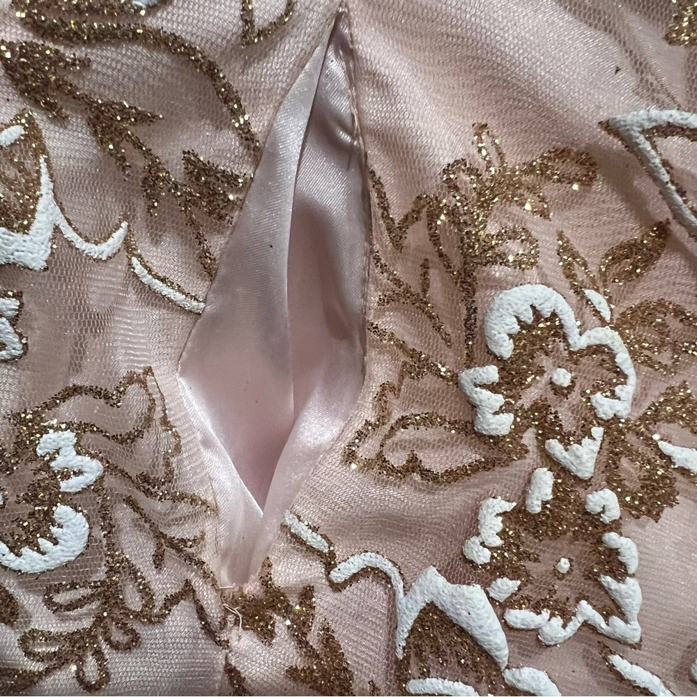 J'ADORE EVENING Blush Pink, White, Gold Evening Grad Prom Dress Floral Size 6 - Picture 16 of 16